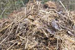 fermentation plus rapide