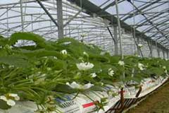 Réintroduction de vie micro-biologique