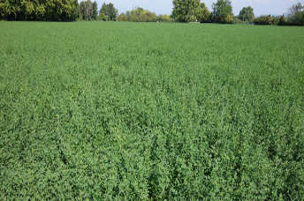 produits controlés par certipaq