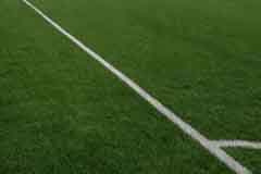 pelouse football herbe tendre