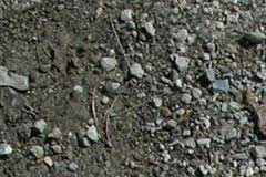 Neutralisation de sols pollués